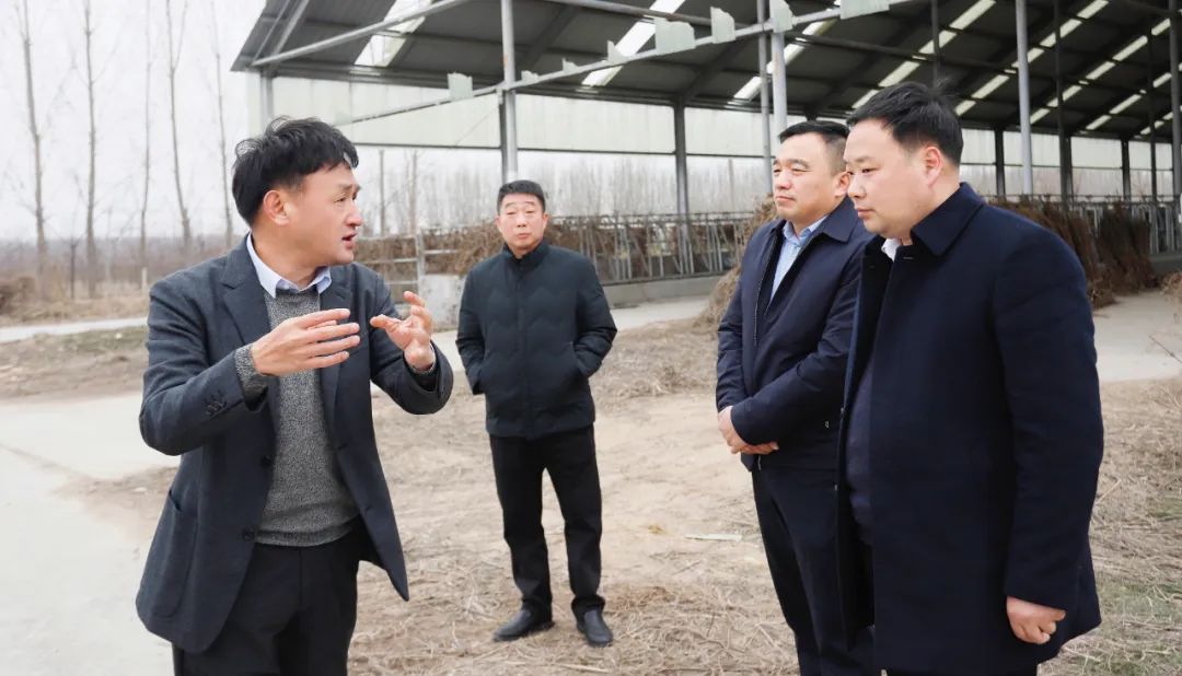 發(fā)揮產(chǎn)業(yè)優(yōu)勢 助力鄉(xiāng)村振興 | 民權(quán)縣委副書記、縣長王靜嫻會(huì)見關(guān)曉彥董事長一行