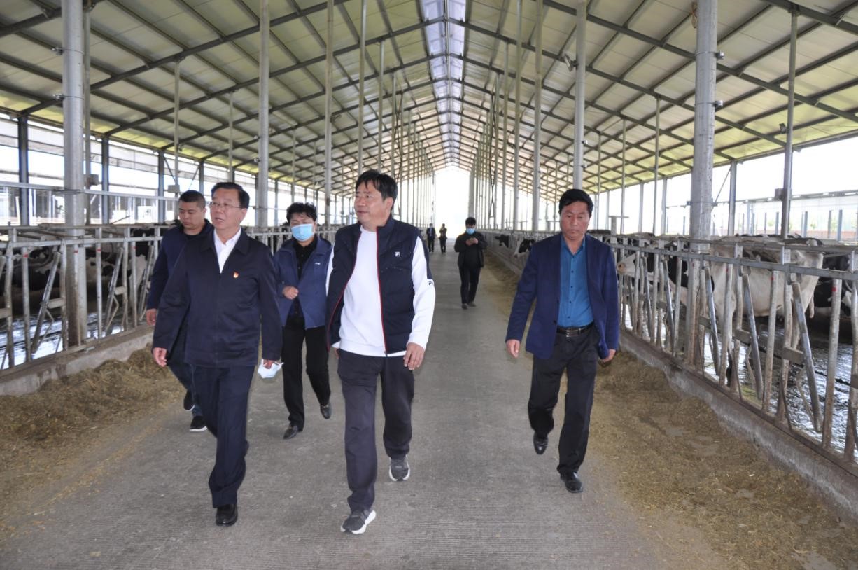 商丘市委常委、宣傳部部長王全周一行蒞臨睢縣瑞亞牧業有限公司調研