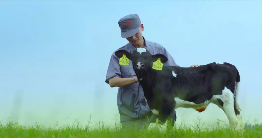 喜報(bào) | 國(guó)家市場(chǎng)監(jiān)管總局抽檢,花花牛等112家企業(yè)乳品抽檢全部合格 喜報(bào) | 國(guó)家市場(chǎng)監(jiān)管總局抽檢,花花牛等112家企業(yè)乳品抽檢全部合格