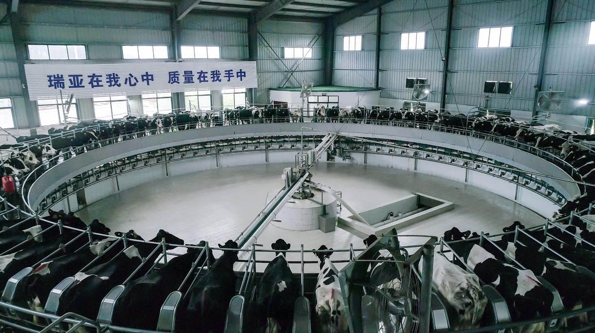 又雙叒叕獲獎啦!花花牛榮獲“乳品質量安全管理 優秀企業” 又雙叒叕獲獎啦!花花牛榮獲“乳品質量安全管理 優秀企業”