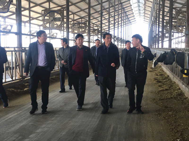 封丘縣縣長王獻臣一行蒞臨 花花牛集團養(yǎng)殖、乳品事業(yè)部參觀調(diào)研 封丘縣縣長王獻臣一行蒞臨 花花牛集團養(yǎng)殖、乳品事業(yè)部參觀調(diào)研