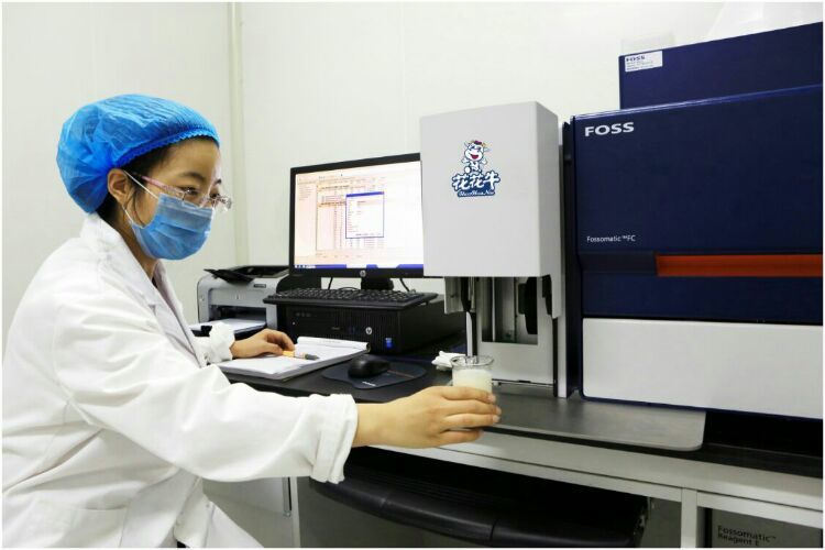 花花牛:務(wù)實、創(chuàng)新領(lǐng)潮市場 大企業(yè)體現(xiàn)大擔當 花花牛:務(wù)實、創(chuàng)新領(lǐng)潮市場 大企業(yè)體現(xiàn)大擔當