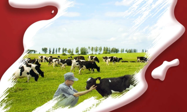 喜報！花花牛董事長關曉彥再獲”優 秀企業家”稱號