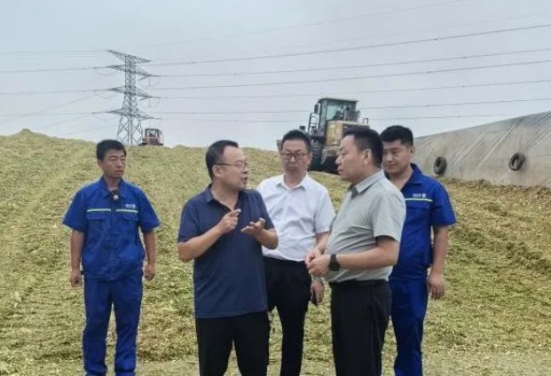 1737440683762808.png image.png